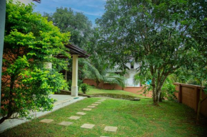 Back Forest Villa